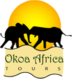 Okoa Africa Tours