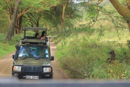 8 Days Kenya 4x4 Safari by Land Cruiser Jeep Safari