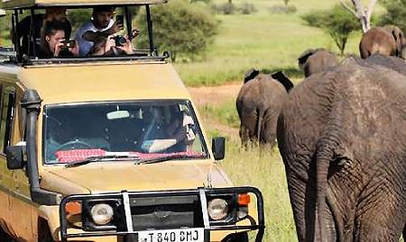Kenya 4X4 Mid-range Safari