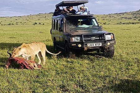 4-Day Kenya Mid-Range Safari 1