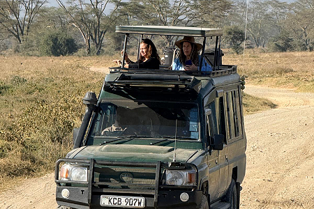 land cruiser new safari